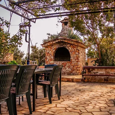 Oasis *