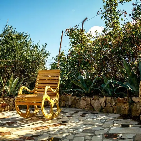 Oasis *